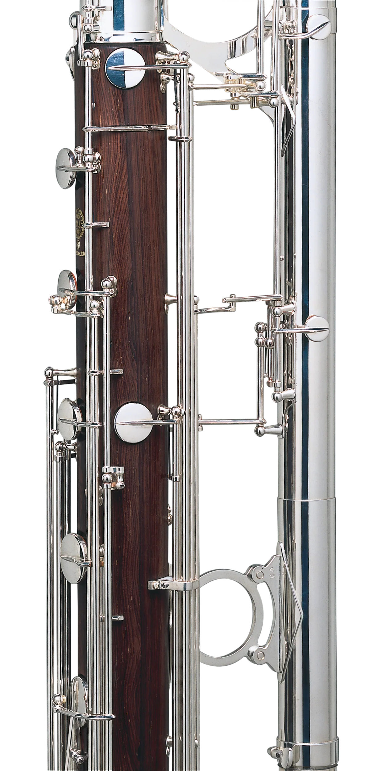 Contrabass-preview-1