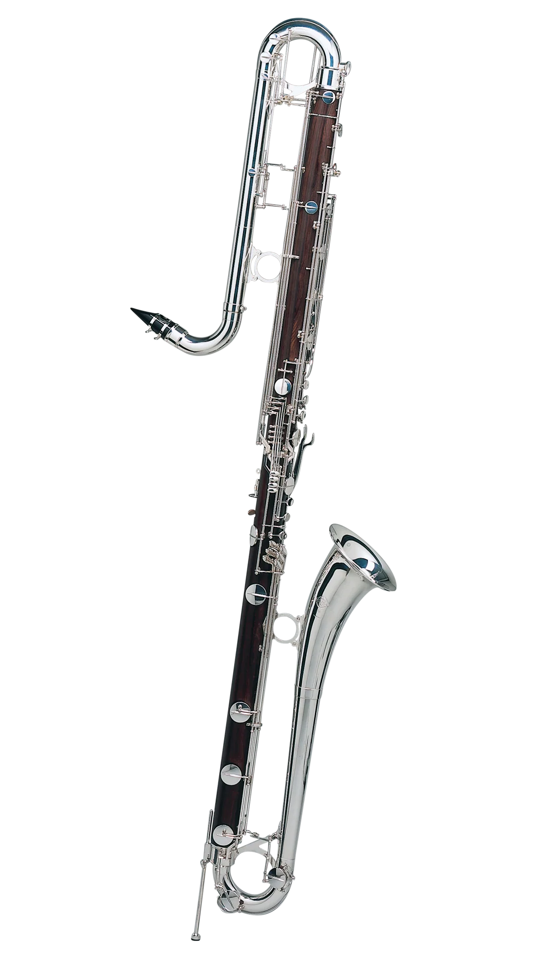 Contrabass