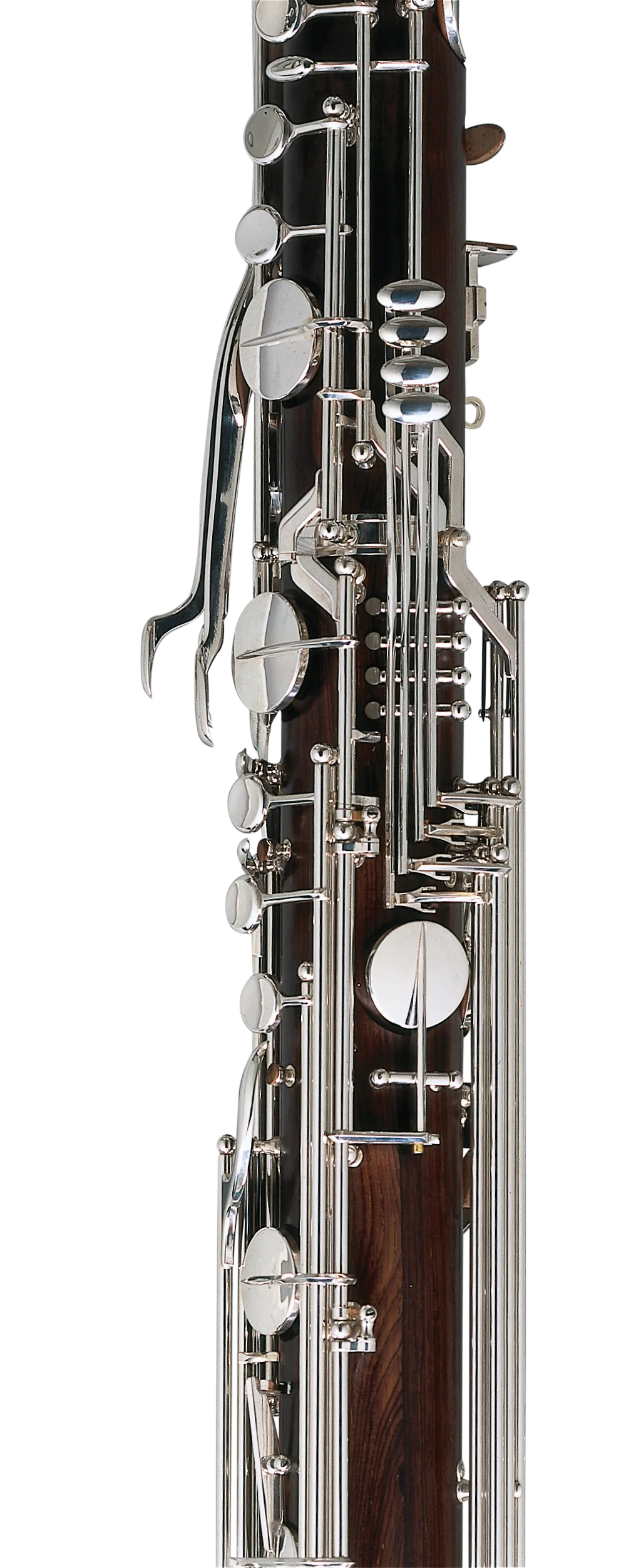 Contrabass-preview-3